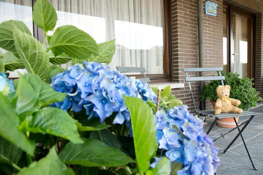 Ferienwohnung Hoevedomein Polderrust Nieuwpoort Exterior foto